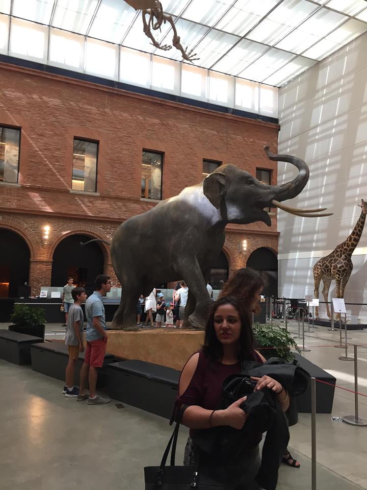 Musée éléphant